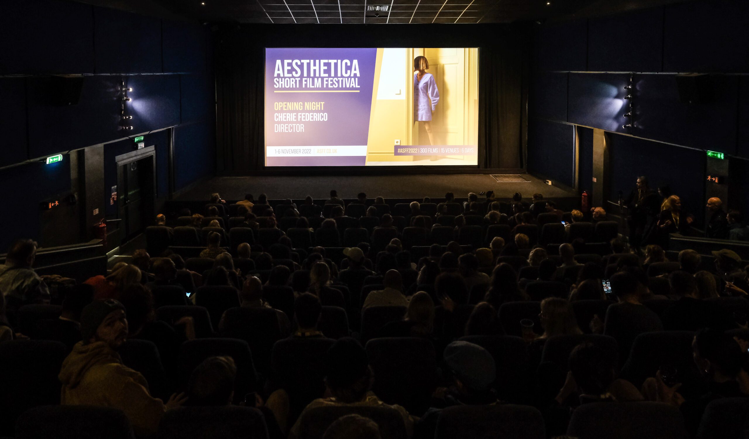 audience looking at screen which shows the aesthetica short film festival